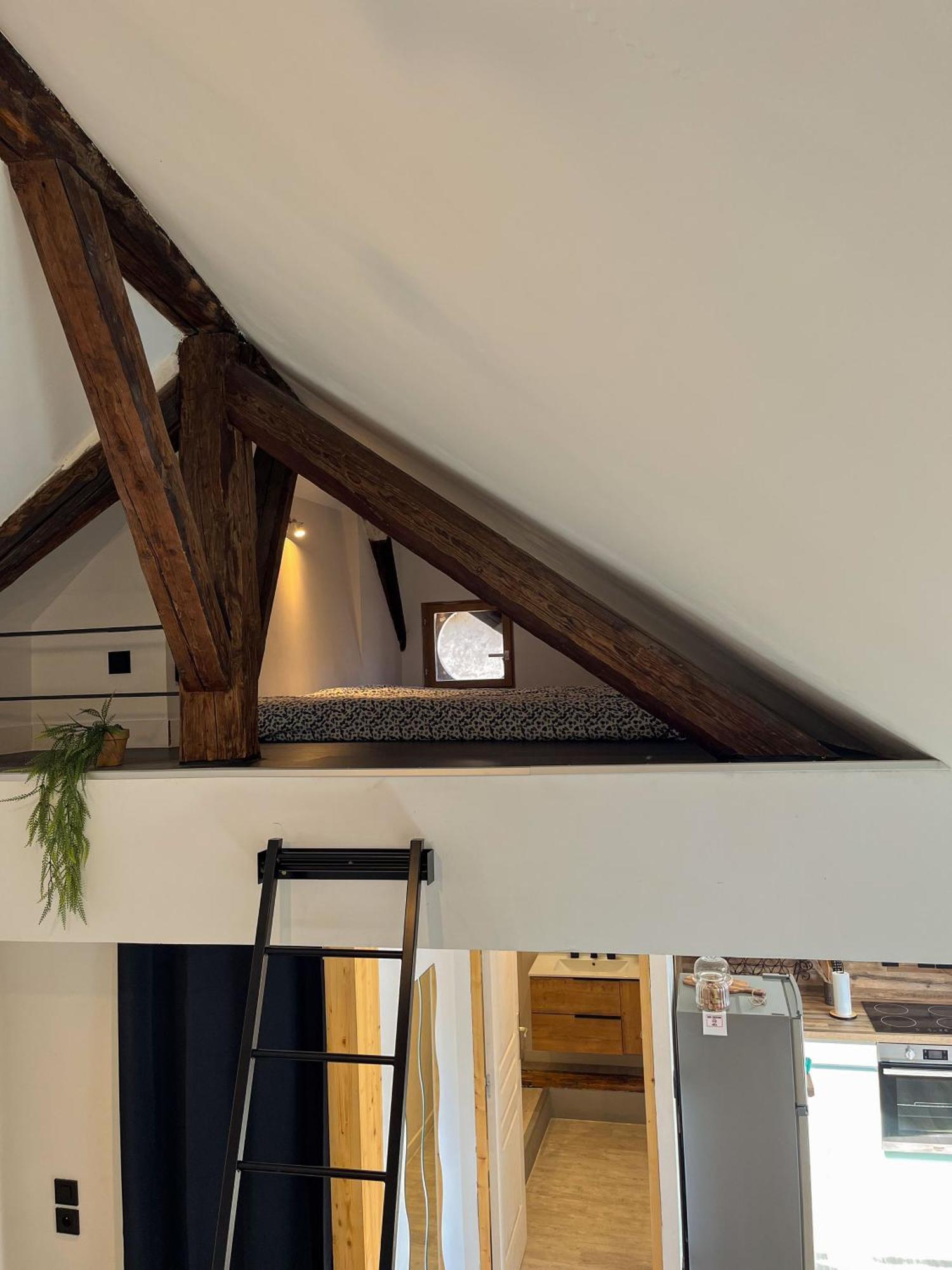 Cocon Sous Les Toits Leilighet Albertville Eksteriør bilde